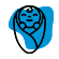spe Image
